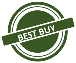 BEST BUY